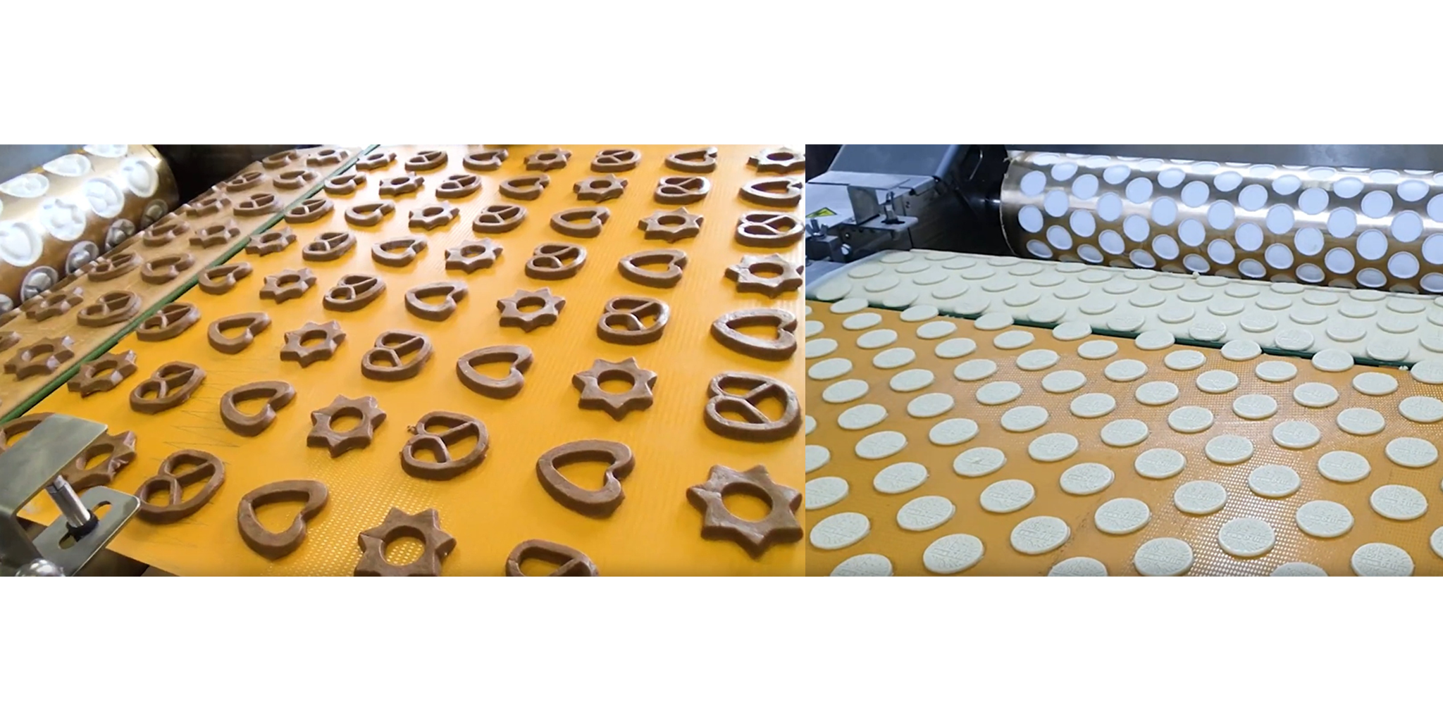 Artisan Biscuits Production Line